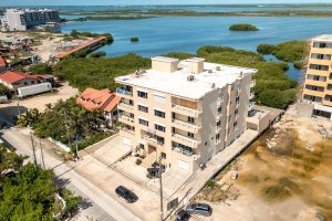 Coconuts Caribe #204