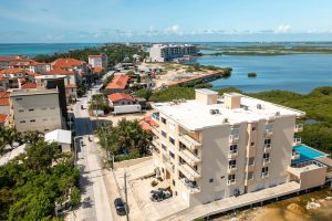 Coconuts Caribe #204