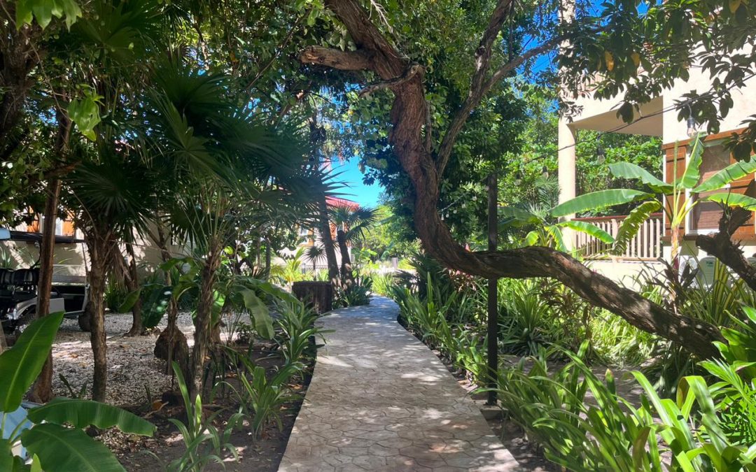 Spacious 1 Bedroom Condo Minutes from Secret Beach! WhatsApp +501.610.2731