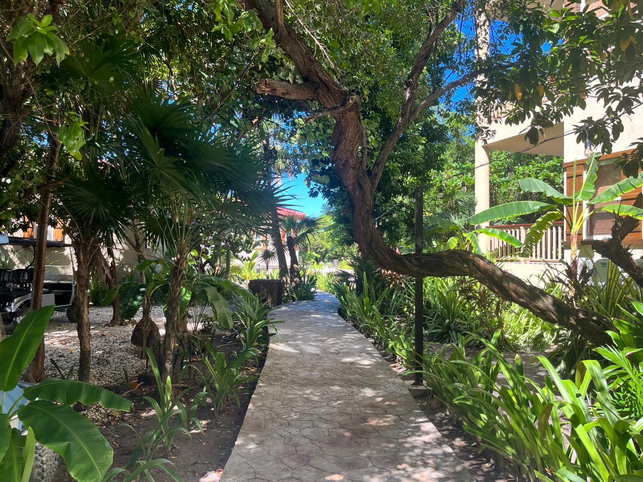 Spacious 1 Bedroom Condo Minutes from Secret Beach! WhatsApp +501.610.2731