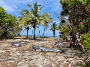 Ambergris Caye Belize Beachfront Property