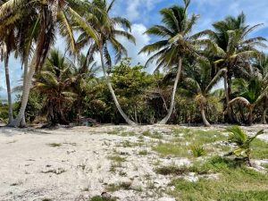 Ambergris Caye Belize Beachfront Property