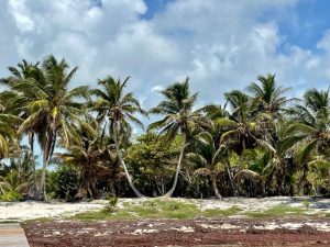 Ambergris Caye Belize Beachfront Property
