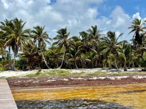 Ambergris Caye Belize Beachfront Property