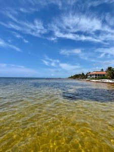 Ambergris Caye Belize Beachfront Property
