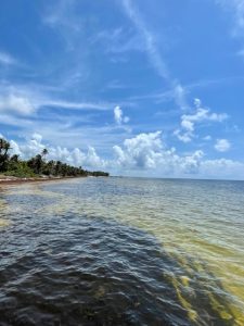 Ambergris Caye Belize Beachfront Property