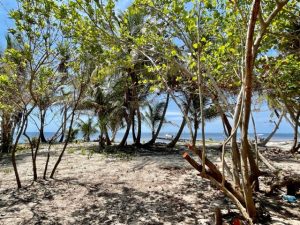 Ambergris Caye Belize Beachfront Property