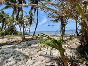 Ambergris Caye Belize Beachfront Property