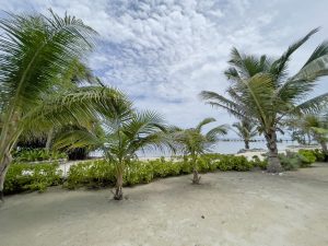 102 – 2 Bed Oceanfront – REEF HAVEN  Beach Resort Belize Condo