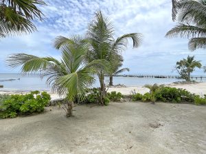 102 – 2 Bed Oceanfront – REEF HAVEN  Beach Resort Belize Condo