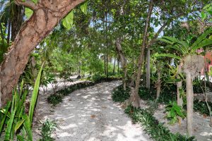 Casa Esperanza Beachfront Home, 2 Parcels, Commercial Space & Expansion Opportunity!