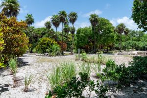 Casa Esperanza Beachfront Home, 2 Parcels, Commercial Space & Expansion Opportunity!