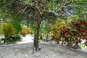 Casa Esperanza Beachfront Home, 2 Parcels, Commercial Space & Expansion Opportunity!