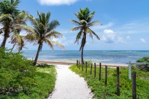 Casa Esperanza Beachfront Home, 2 Parcels, Commercial Space & Expansion Opportunity!