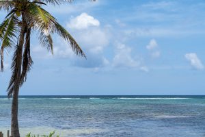 Casa Esperanza Beachfront Home, 2 Parcels, Commercial Space & Expansion Opportunity!