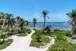 Casa Esperanza Beachfront Home, 2 Parcels, Commercial Space & Expansion Opportunity!