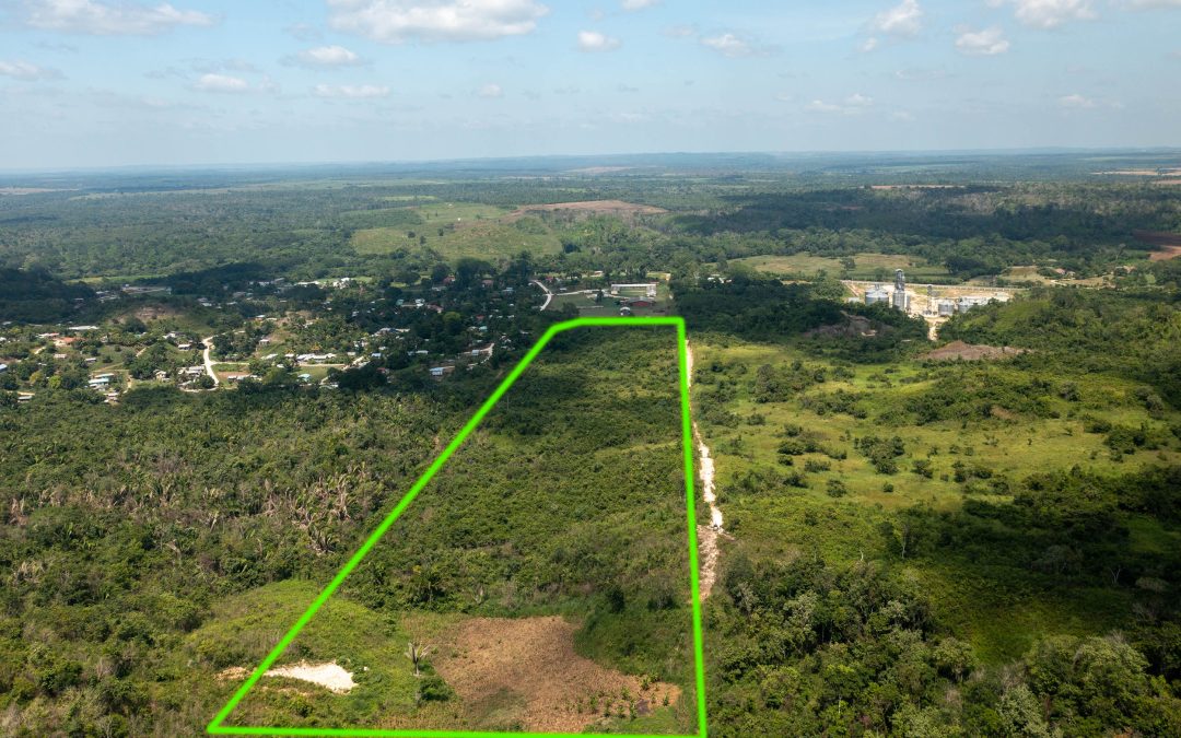 Ontario Village – 20 Acre Property