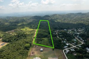Ontario Village – 20 Acre Property