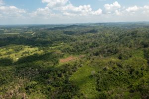 Ontario Village – Hill Property