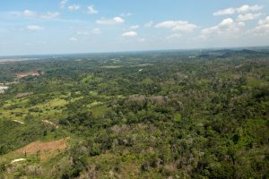 Ontario Village – Hill Property