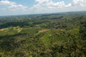 Ontario Village – Hill Property