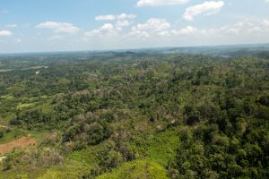 Ontario Village – Hill Property