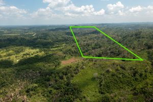 Ontario Village – Hill Property