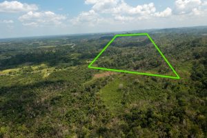 Ontario Village – Hill Property