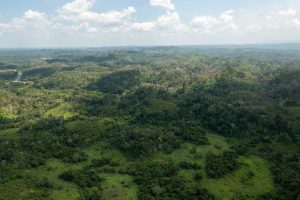 Ontario Village – Hill Property