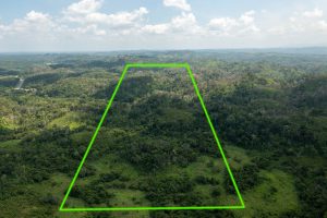 Ontario Village – Hill Property