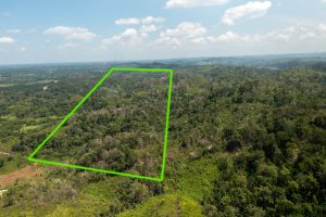 Ontario Village – Hill Property