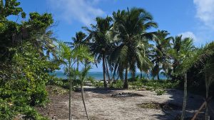 Your Oasis at Palmero Point Beach Club ! WhatsApp +501.610.2731