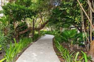 Residences at Barrier Reef Casita 3