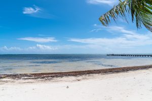 Residence at Barrier Reef 4C