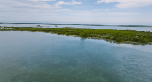 375 Feet Of Beachfront on 4 acres- Whatsapp +501-613-9882