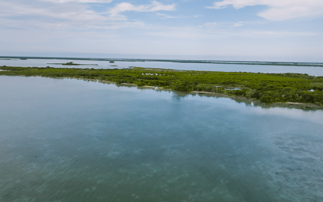 375 Feet Of Beachfront on 4 acres- Whatsapp +501-613-9882