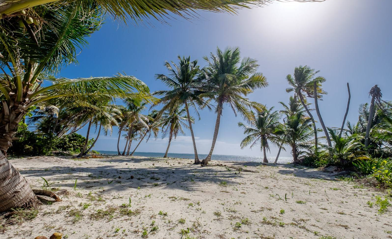 Palmero Point Beachfront Lots- Call/Whatsapp +501-610-2731