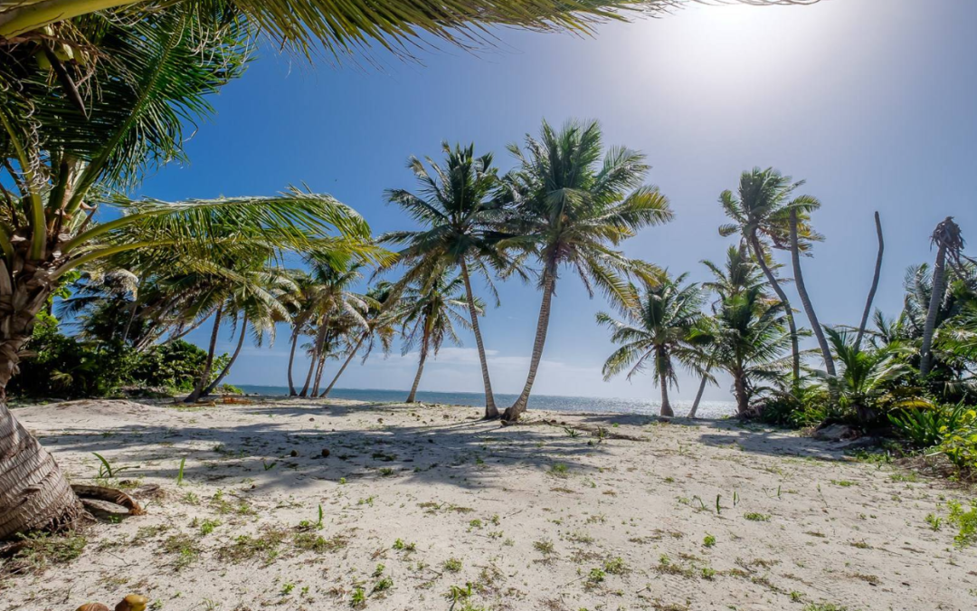 Beach View Palmero Point Lot #4- Call/Whatsapp +501-610-2731