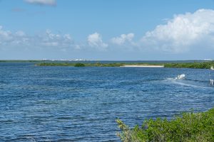 Seascape at Eden Bay