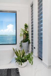 Seascape at Eden Bay