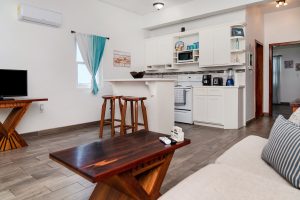 Teal at Casa Del Rai – One Bedroom Unit