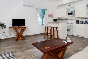 Teal at Casa Del Rai – One Bedroom Unit