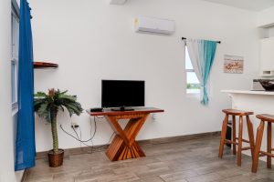 Teal at Casa Del Rai – One Bedroom Unit