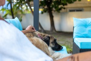 SOLD! Boutique Resort