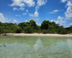 375 Feet Of Beachfront on 4 acres- Whatsapp +501-613-9882