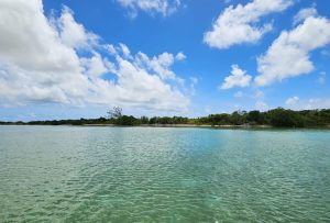 375 Feet Of Beachfront on 4 acres- Whatsapp +501-613-9882