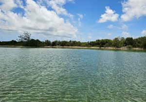 375 Feet Of Beachfront on 4 acres- Whatsapp +501-613-9882