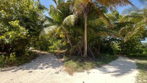 Beach View Palmero Point Lot 3- Call/Whatsapp +501-610-2731