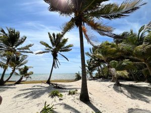 Beach View Palmero Point Lot 3- Call/Whatsapp +501-610-2731