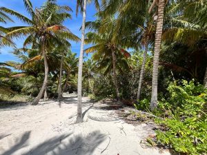 Beach View Palmero Point Lot 3- Call/Whatsapp +501-610-2731